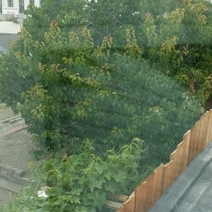 Meet your Posher, Zhenhua